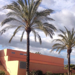 残忍的㓜交在线观看
